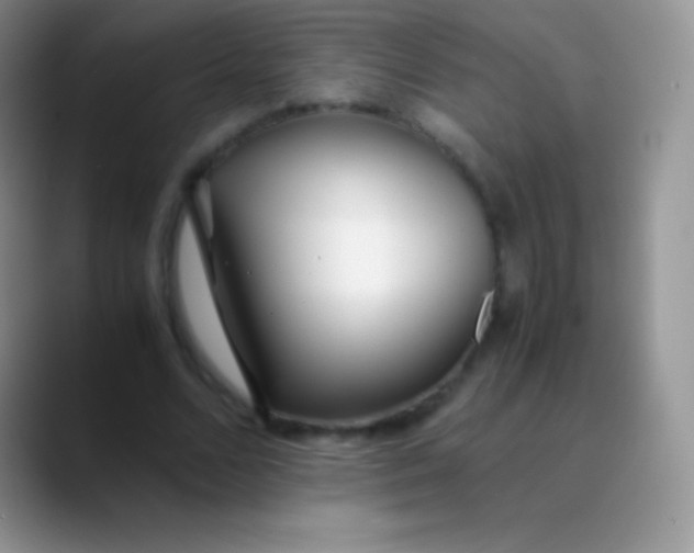 X0000089870680200707191939