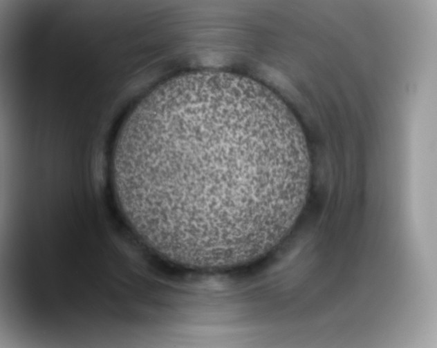 X0000089870683200707191939