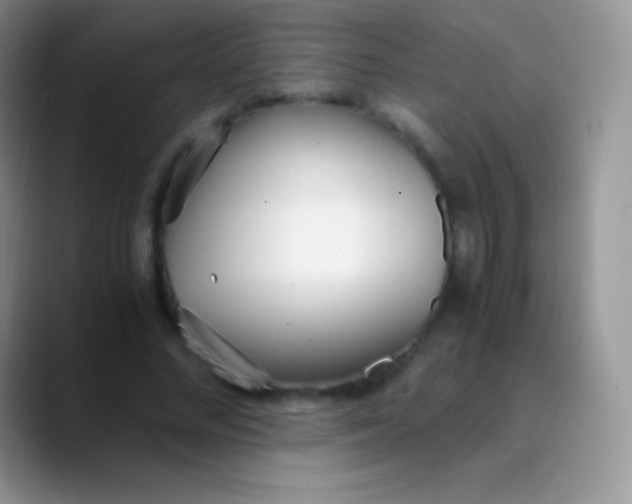 X0000089870684200707191939