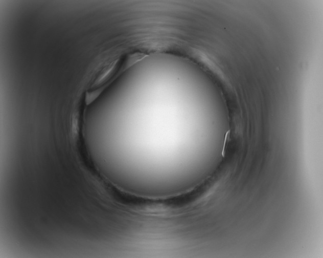 X0000089870685200707191939