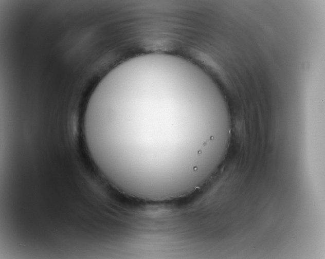 X0000089870686200707191939