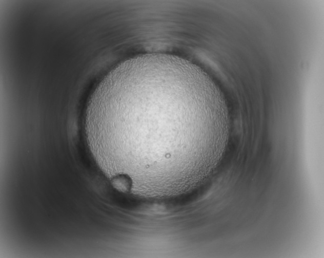 X0000089870687200707191939