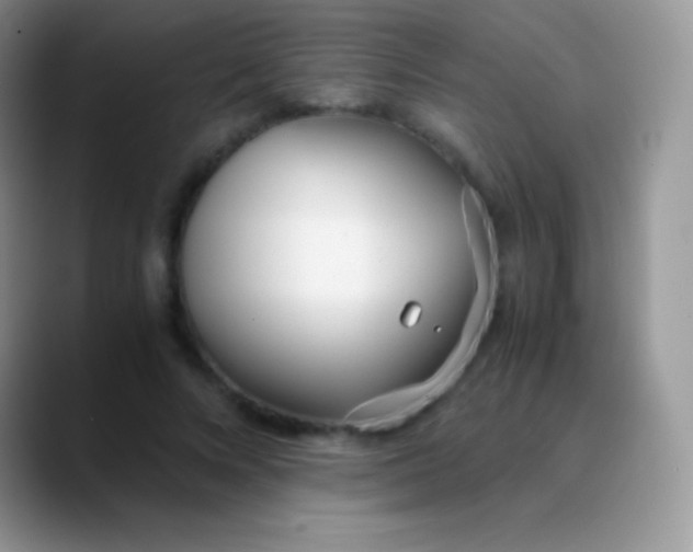 X0000089870688200707191939