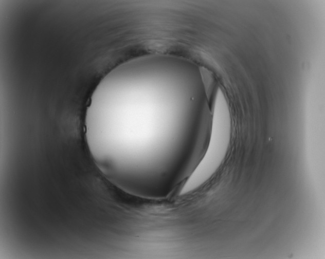 X0000089870689200707191939