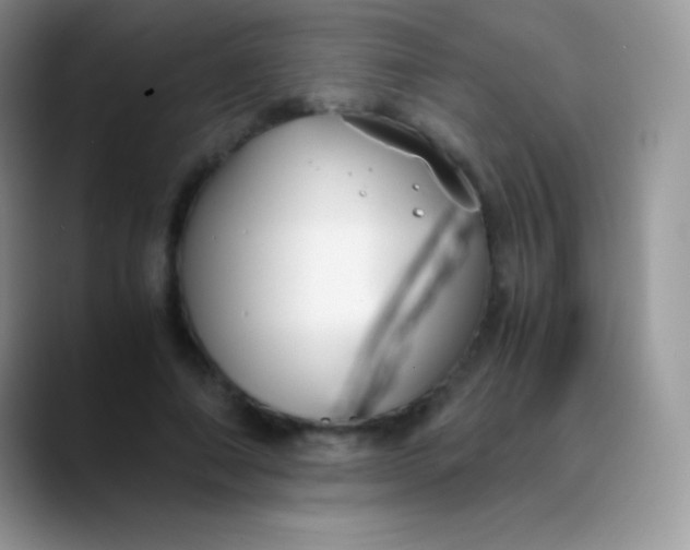 X0000089870690200707191939