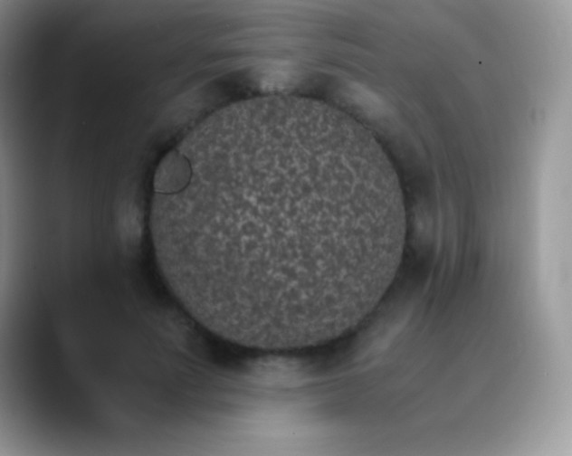 X0000089870691200707191939