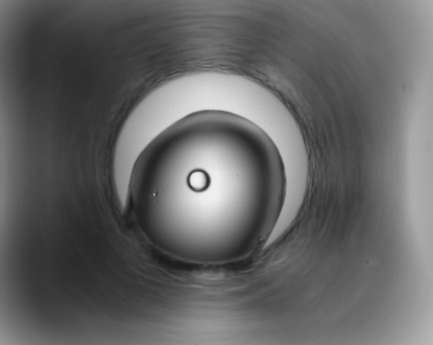 X0000089870693200707191938