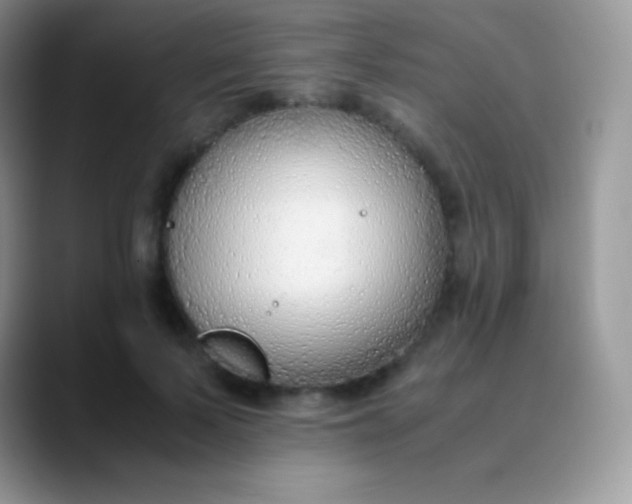 X0000089870695200707191938