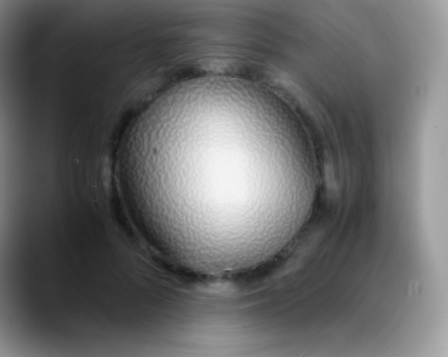 X0000089870696200707191938