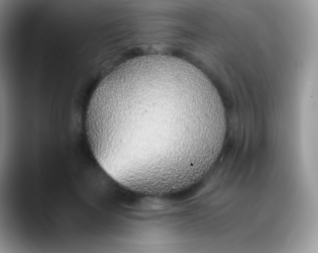 X0000089870699200707191938