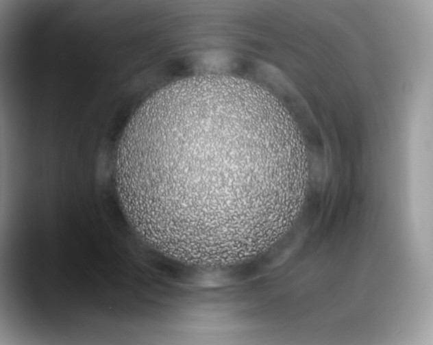 X0000089870701200707191938