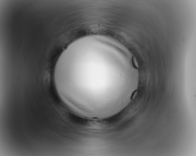 X0000089870703200707191938