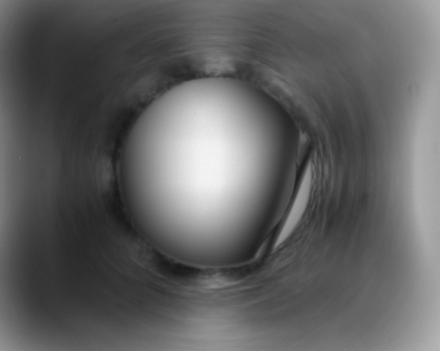 X0000089870704200707191938