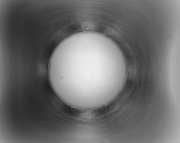 X0000089870705200707191938