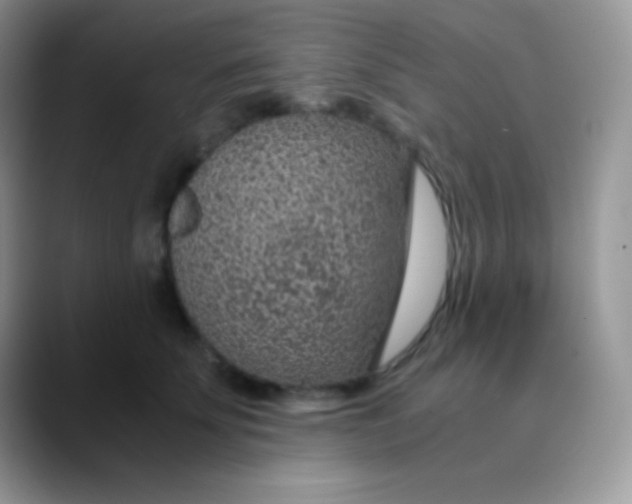 X0000089870707200707191938