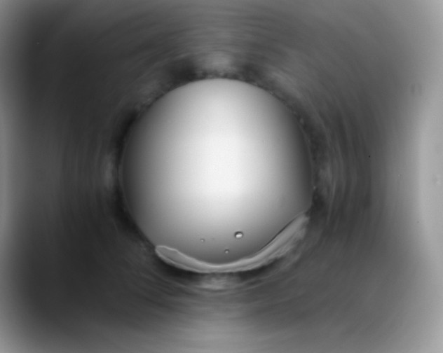 X0000089870708200707191938