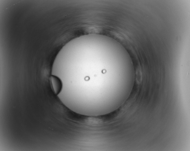 X0000089870714200707191938