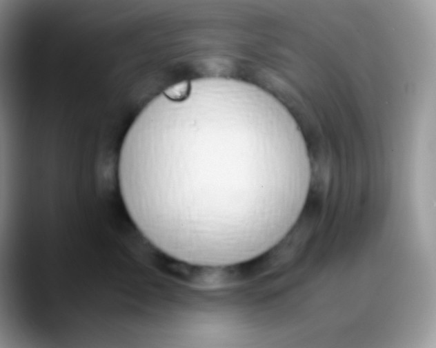 X0000089870717200707191938