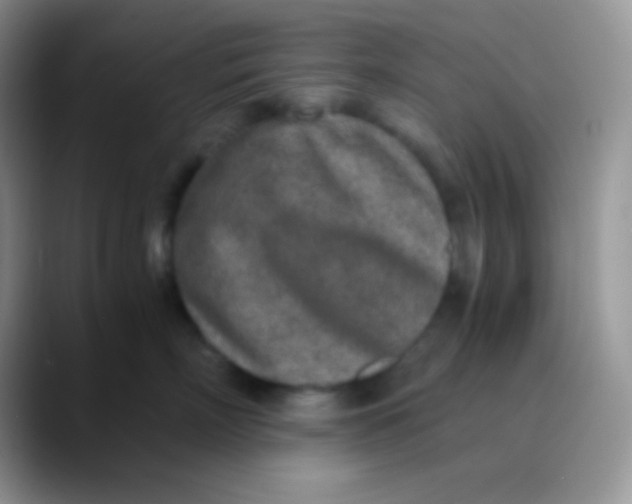 X0000089870718200707191938