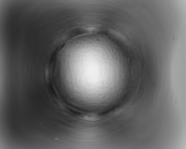 X0000089870720200707191938