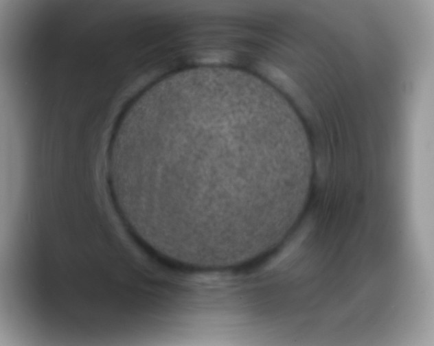 X0000089870721200707191938