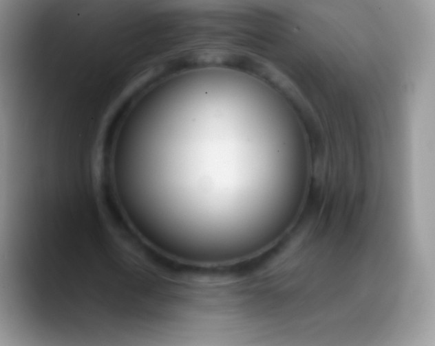 X0000089870722200707191938