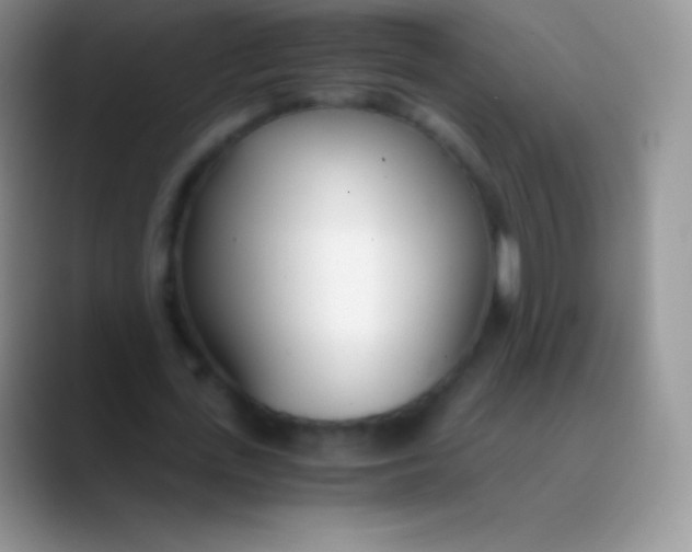 X0000089870723200707191938