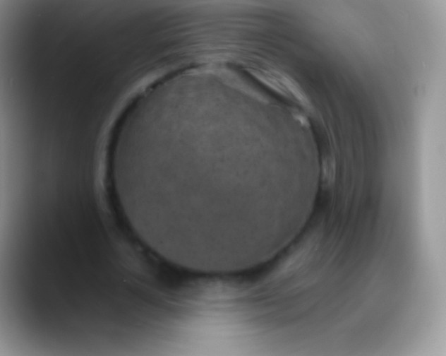 X0000089870724200707191938