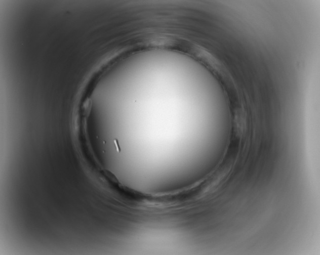 X0000089870726200707191938