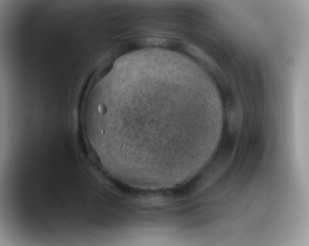 X0000089870729200707191938