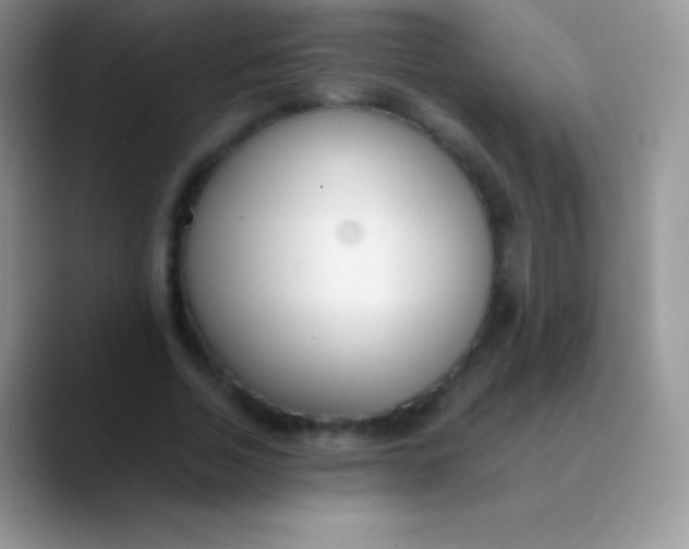 X0000089870730200707191938