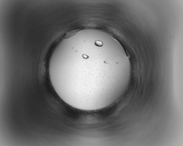 X0000089870731200707191938