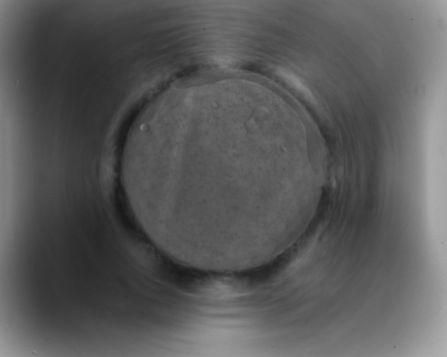 X0000089870736200707191938