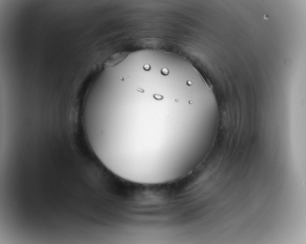 X0000089870739200707191938