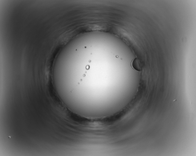 X0000089870741200707191938