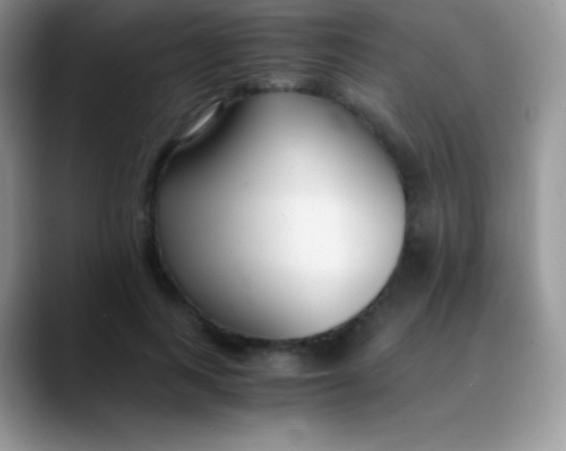 X0000089870743200707191938