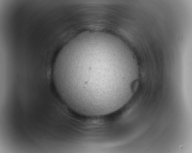 X0000089870745200707191938