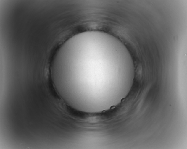 X0000089870746200707191938