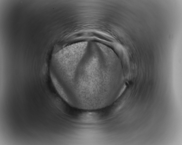 X0000089870748200707191938