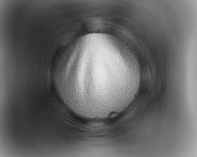 X0000089870749200707191938