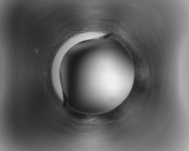 X0000089870750200707191938