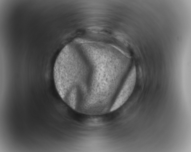 X0000089870760200707191938