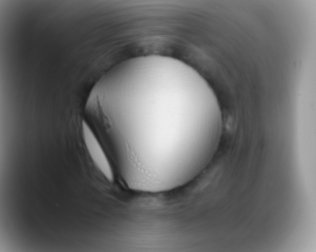 X0000089870771200707191938