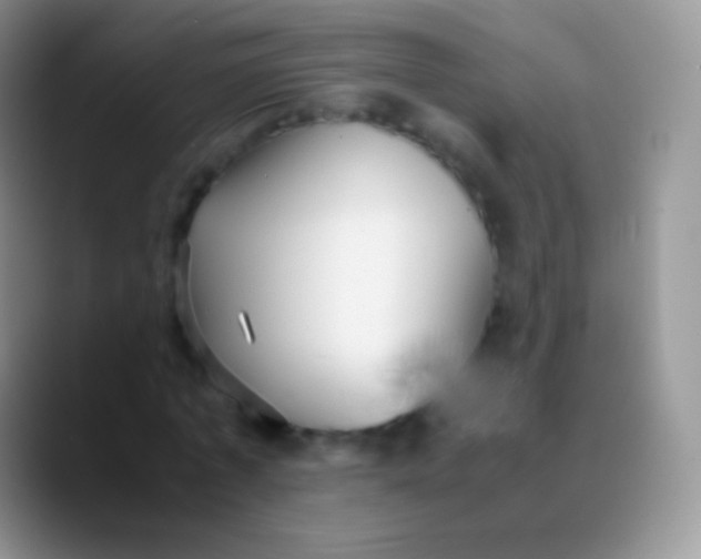 X0000089870773200707191938