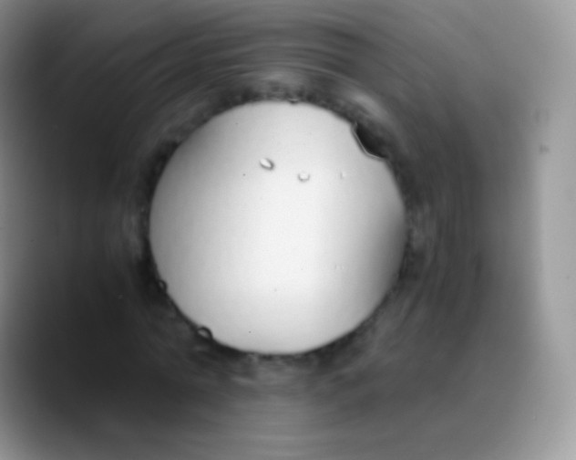 X0000089870774200707191938