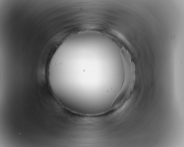 X0000089870777200707191938