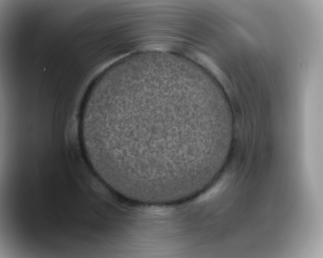 X0000089870779200707191937