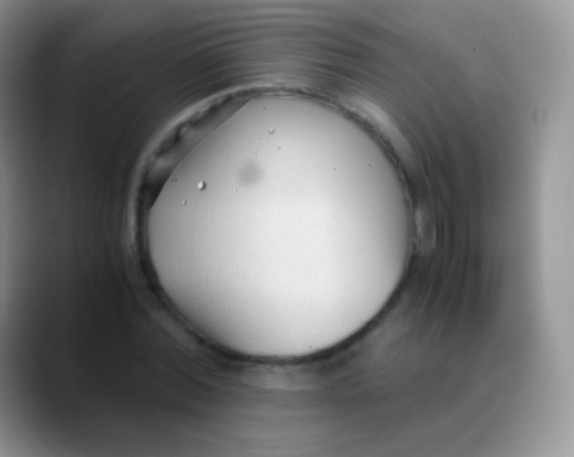 X0000089870780200707191937