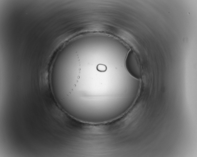 X0000089870781200707191937