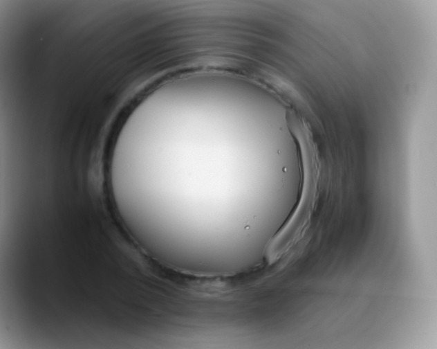 X0000089870784200707191937